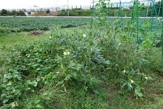DSC01169s.jpg