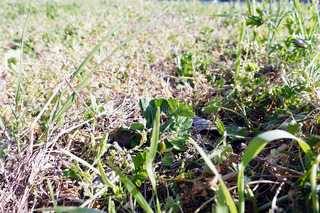 DSC06979_s.jpg